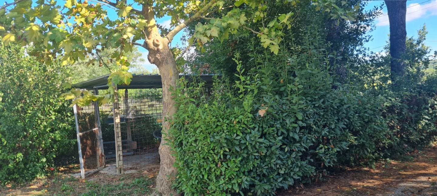 Immagine 28 di Casa indipendente in vendita  a Terricciola