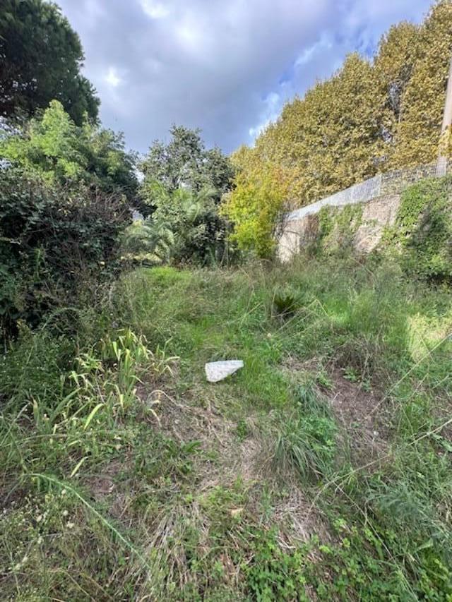 Immagine 36 di Casa indipendente in vendita  a Massa