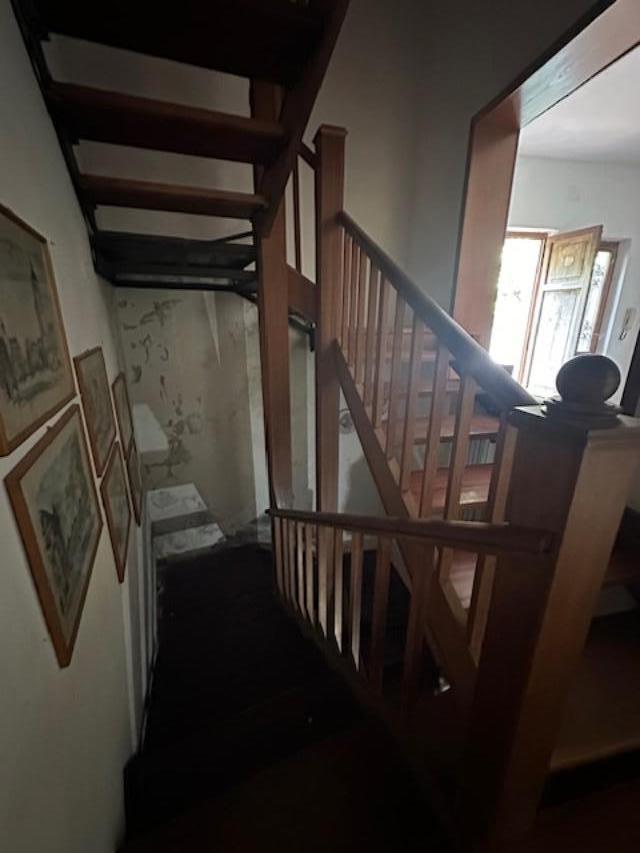 Immagine 13 di Casa indipendente in vendita  a Massa