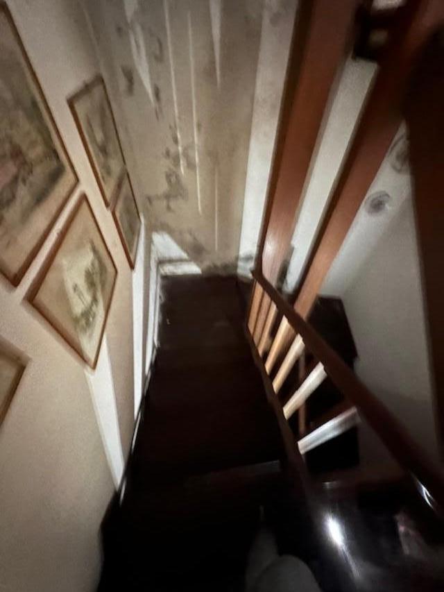 Immagine 15 di Casa indipendente in vendita  a Massa