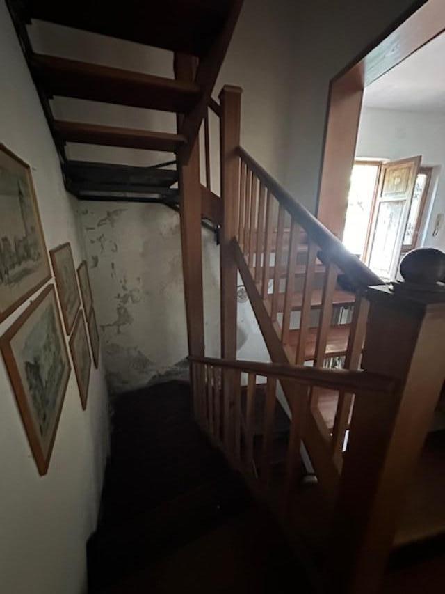 Immagine 14 di Casa indipendente in vendita  a Massa