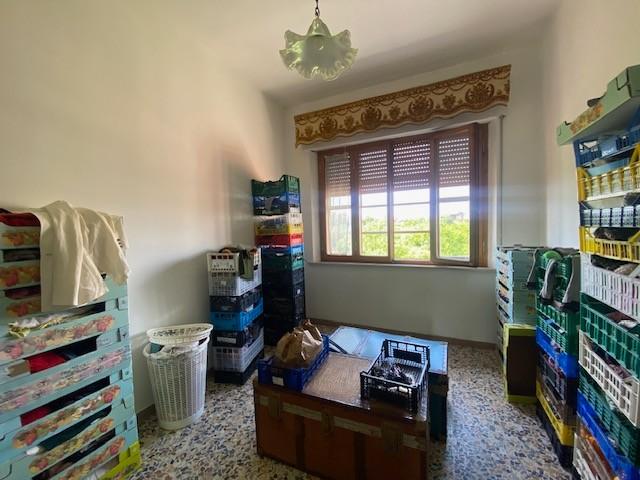 Immagine 13 di Appartamento in vendita  a Calcinaia