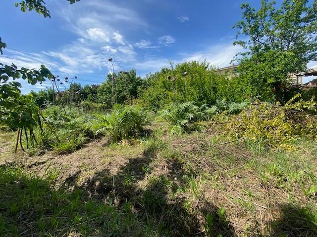 Immagine 23 di Appartamento in vendita  a Calcinaia