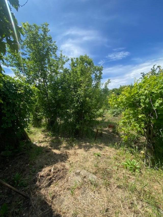 Immagine 24 di Appartamento in vendita  a Calcinaia