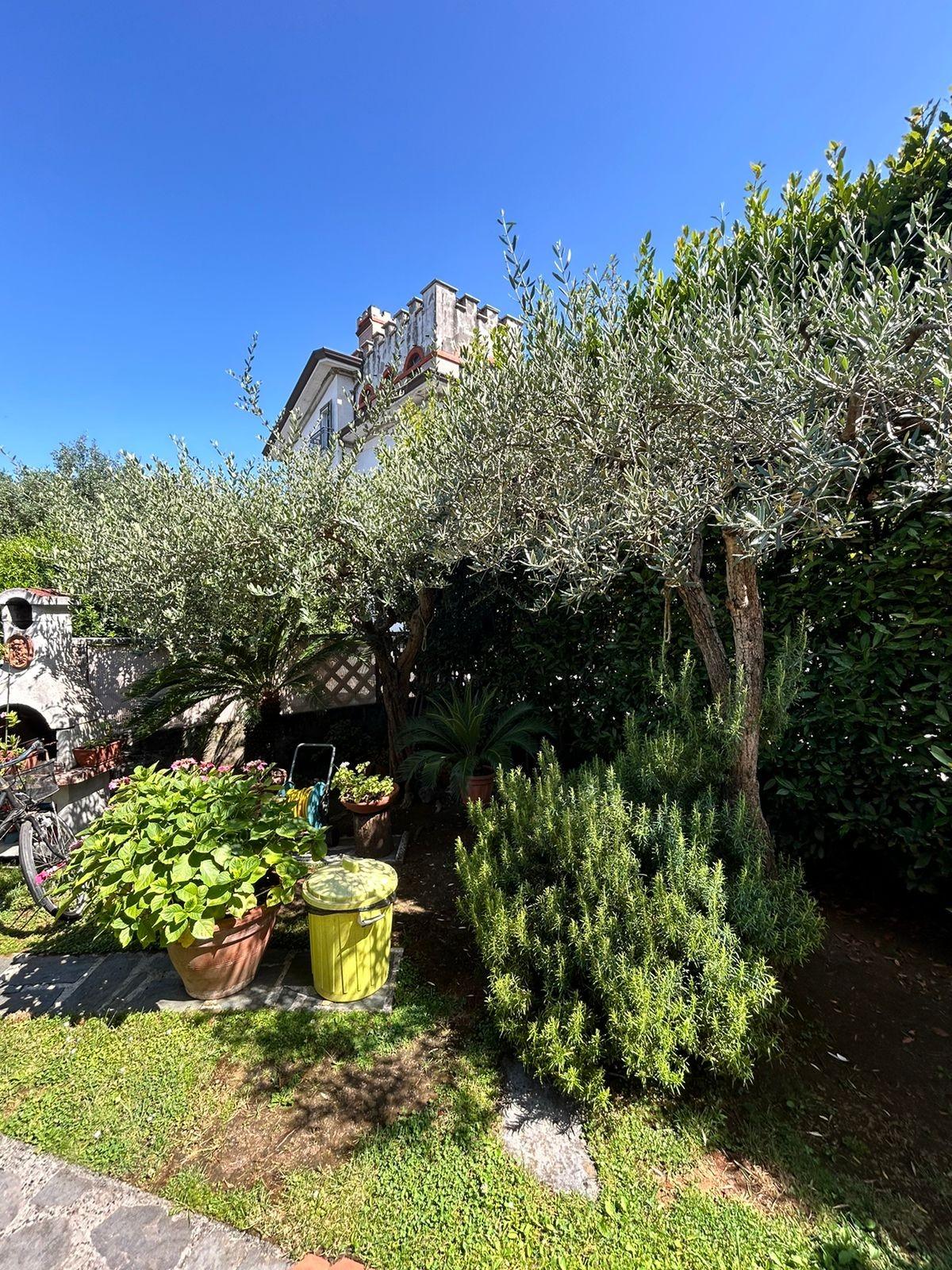 Immagine 15 di Villetta a schiera in vendita  a Massa