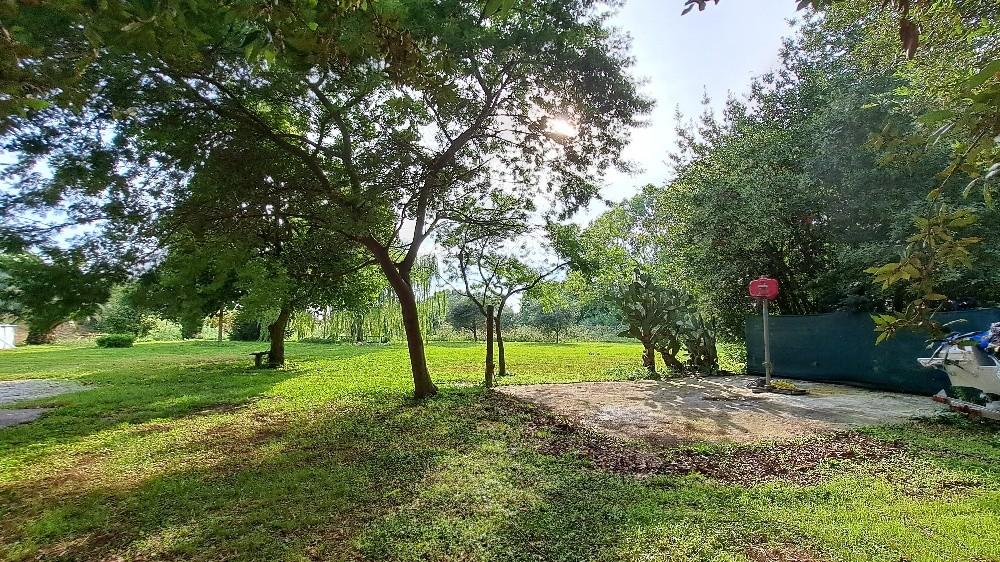 Immagine 49 di Casa indipendente in vendita  a San Giuliano Terme