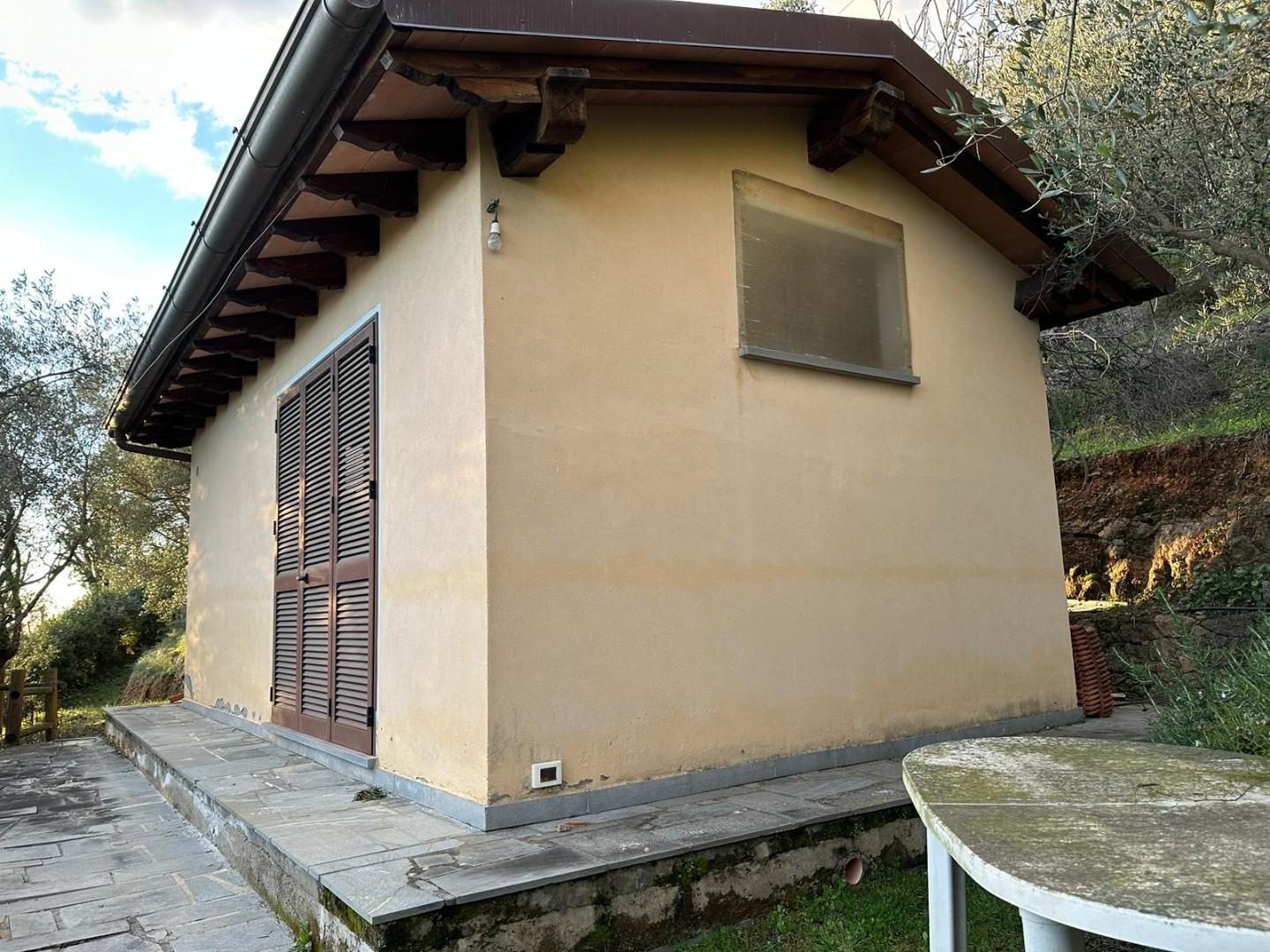Foto annuncio 1
