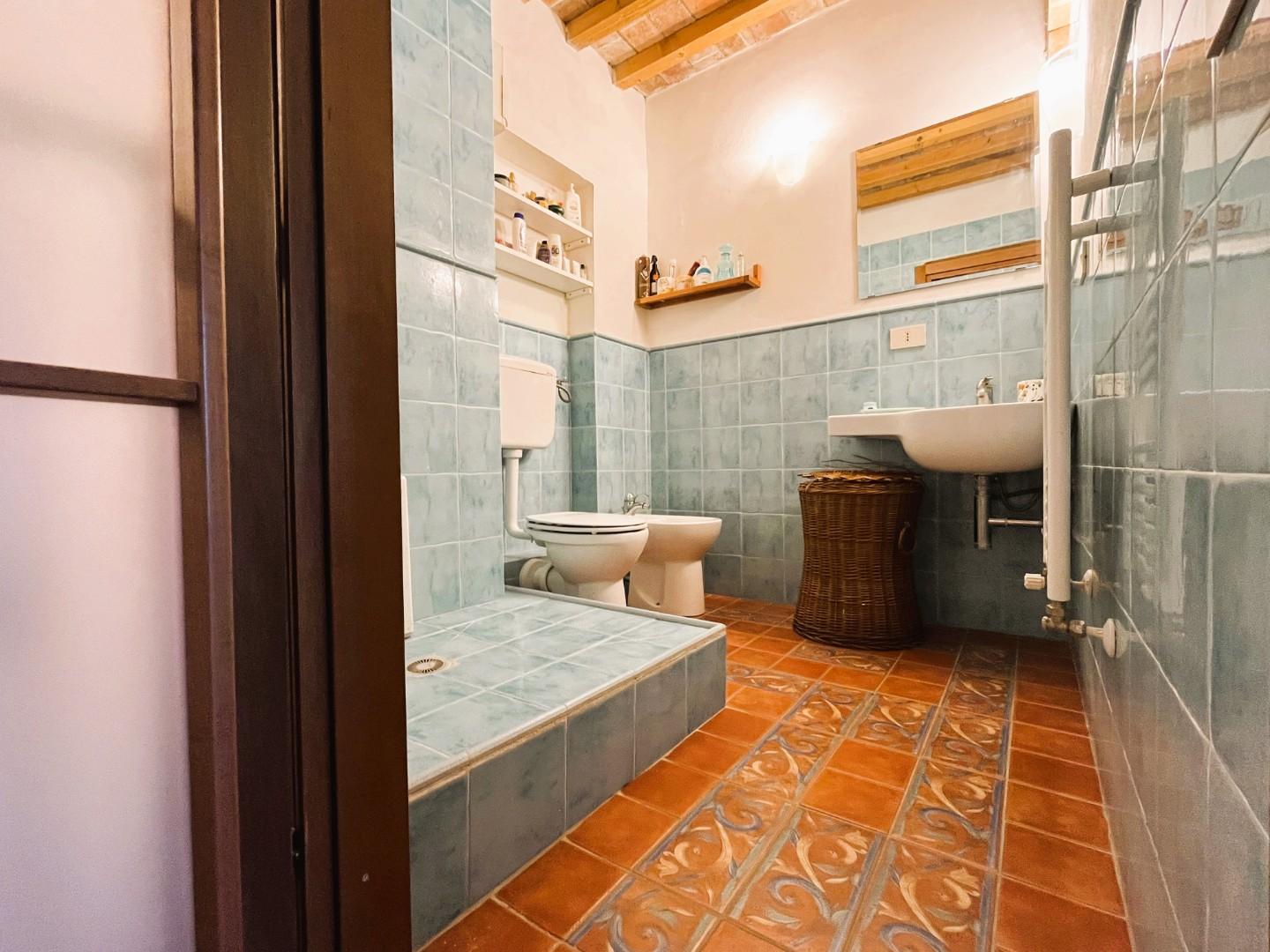 Immagine 12 di Terratetto in vendita  a Rosignano Marittimo