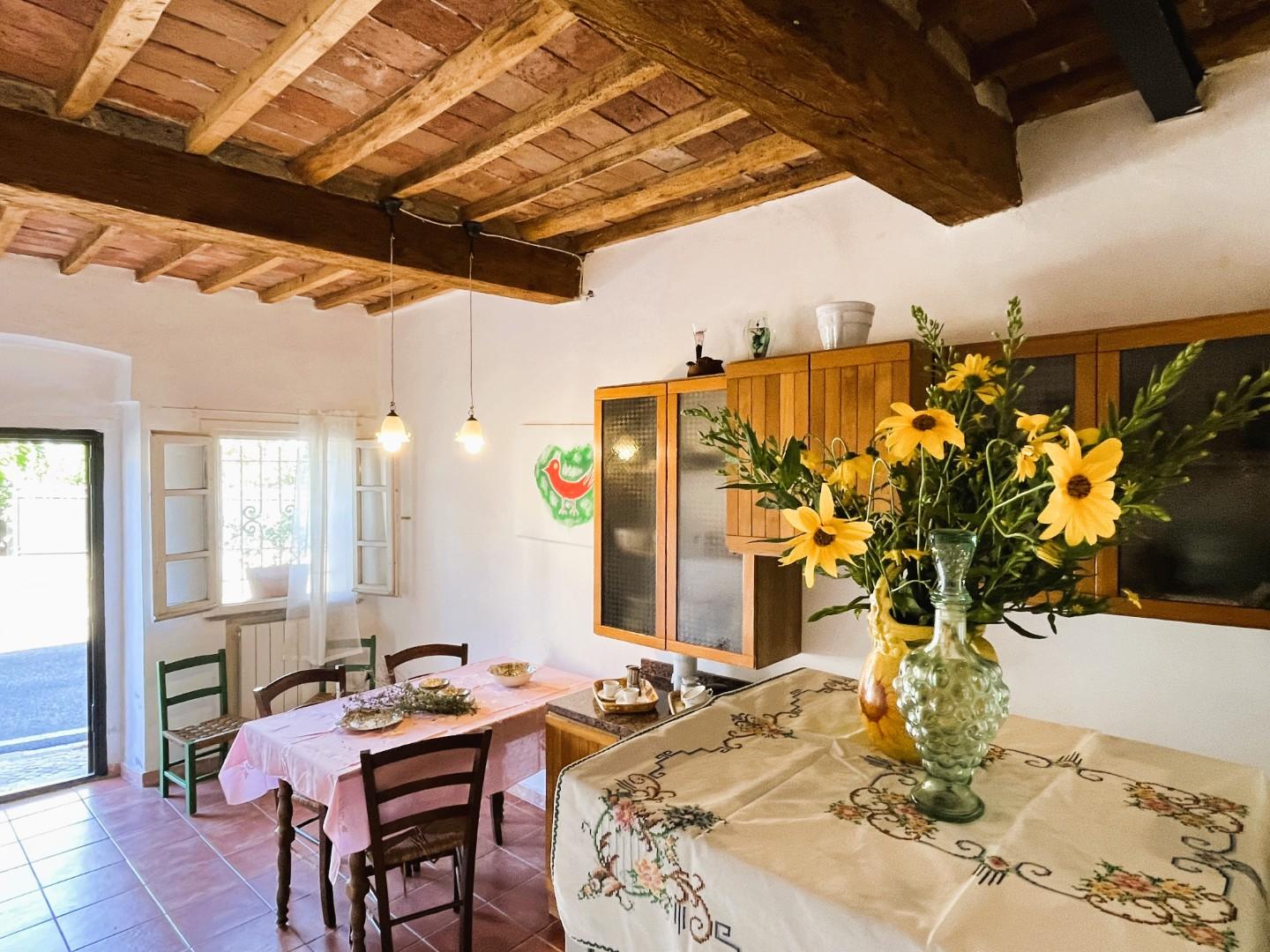 Immagine 21 di Terratetto in vendita  a Rosignano Marittimo