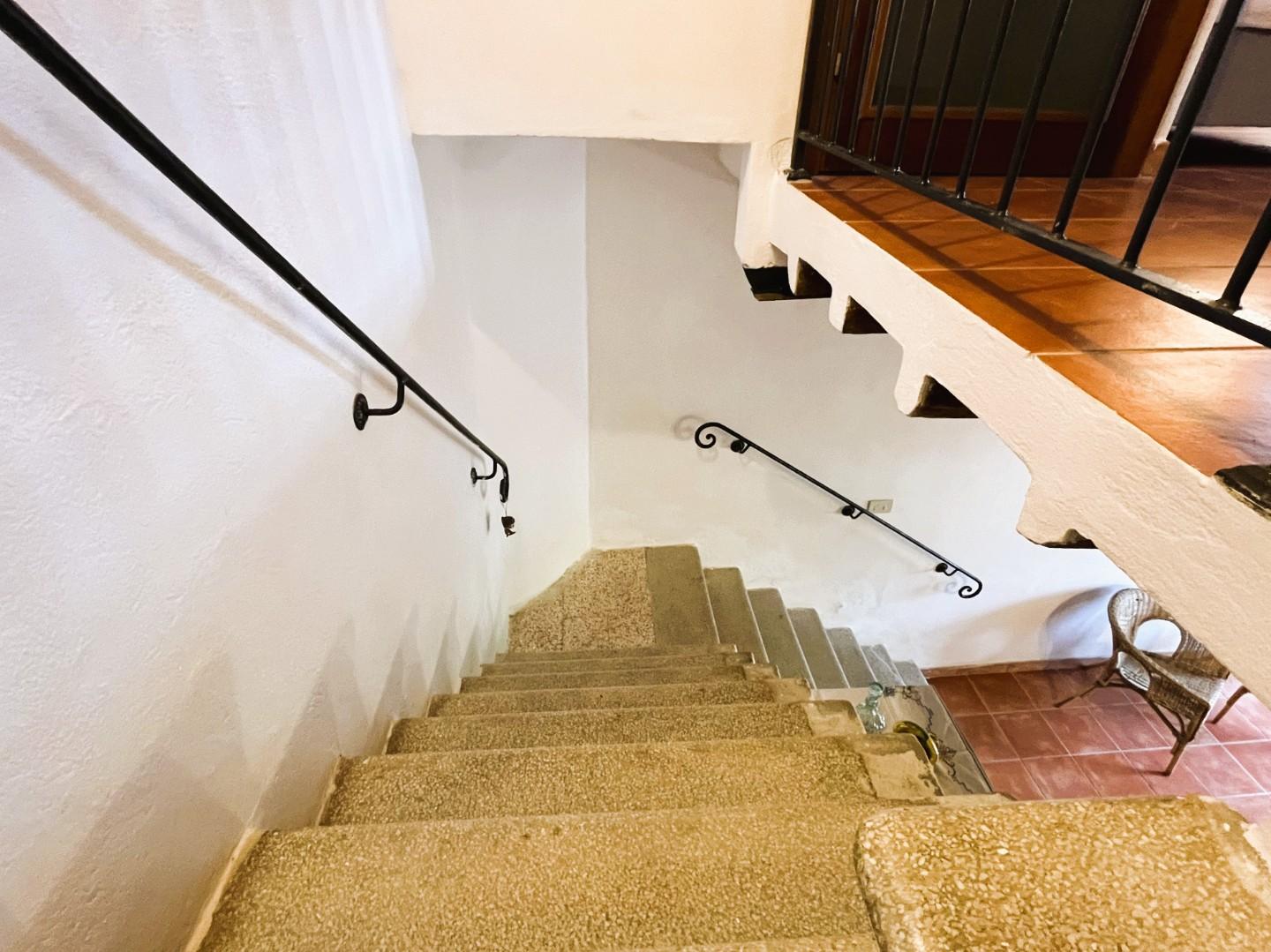 Immagine 14 di Terratetto in vendita  a Rosignano Marittimo