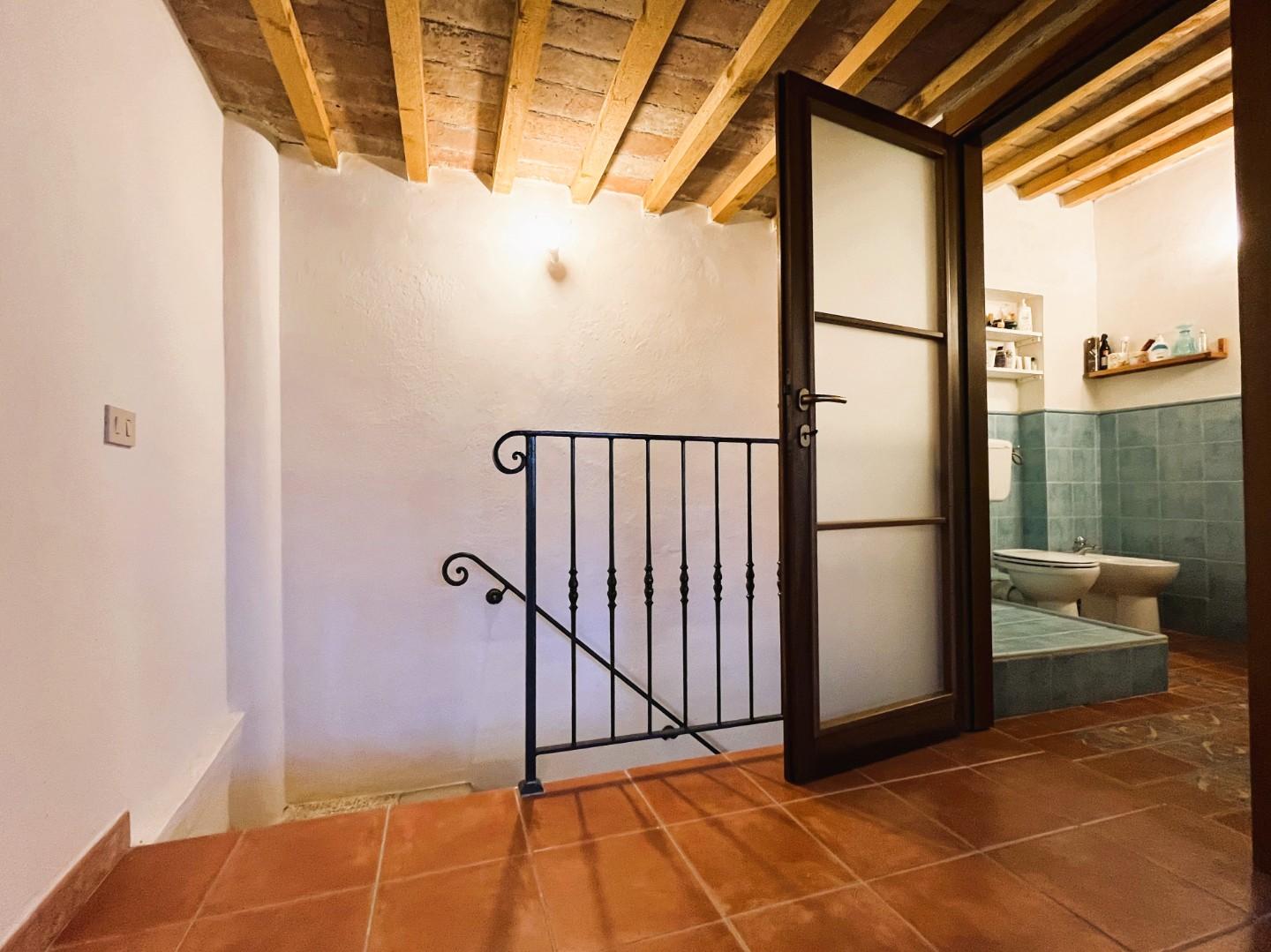 Immagine 11 di Terratetto in vendita  a Rosignano Marittimo