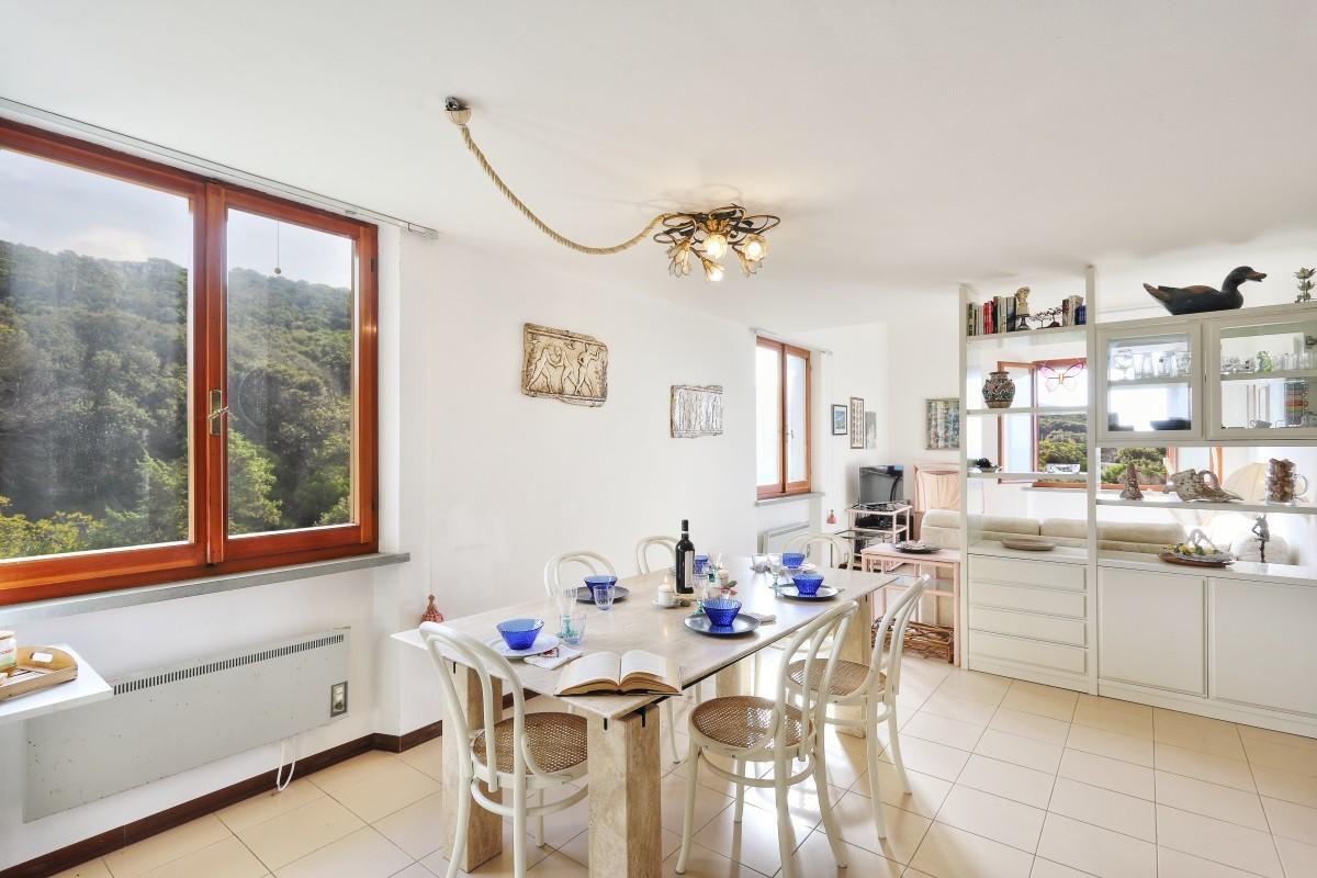 Immagine 8 di Appartamento in vendita  a Rosignano Marittimo