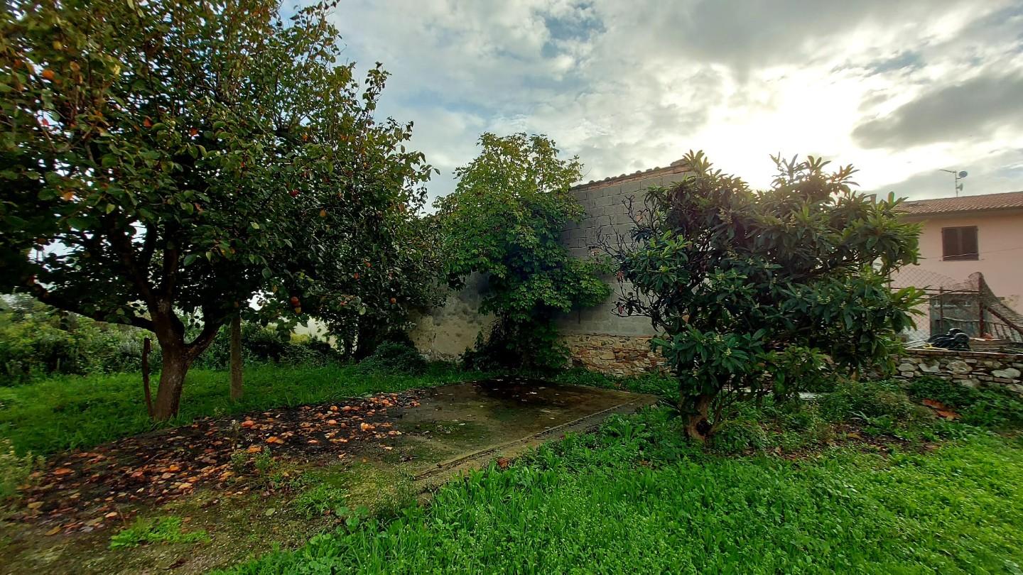 Immagine 1 di Villa in vendita  a Santa Luce