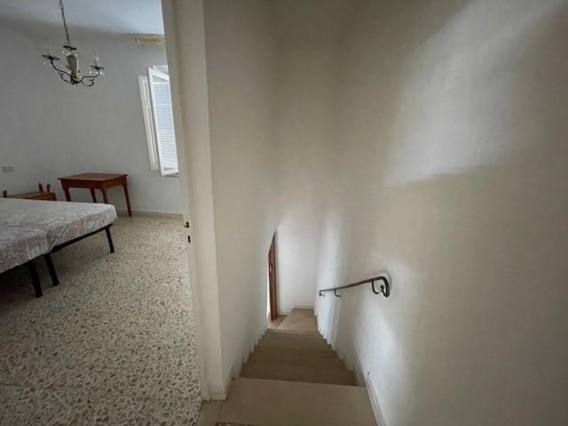 Immagine 10 di Terratetto in vendita  a Vecchiano