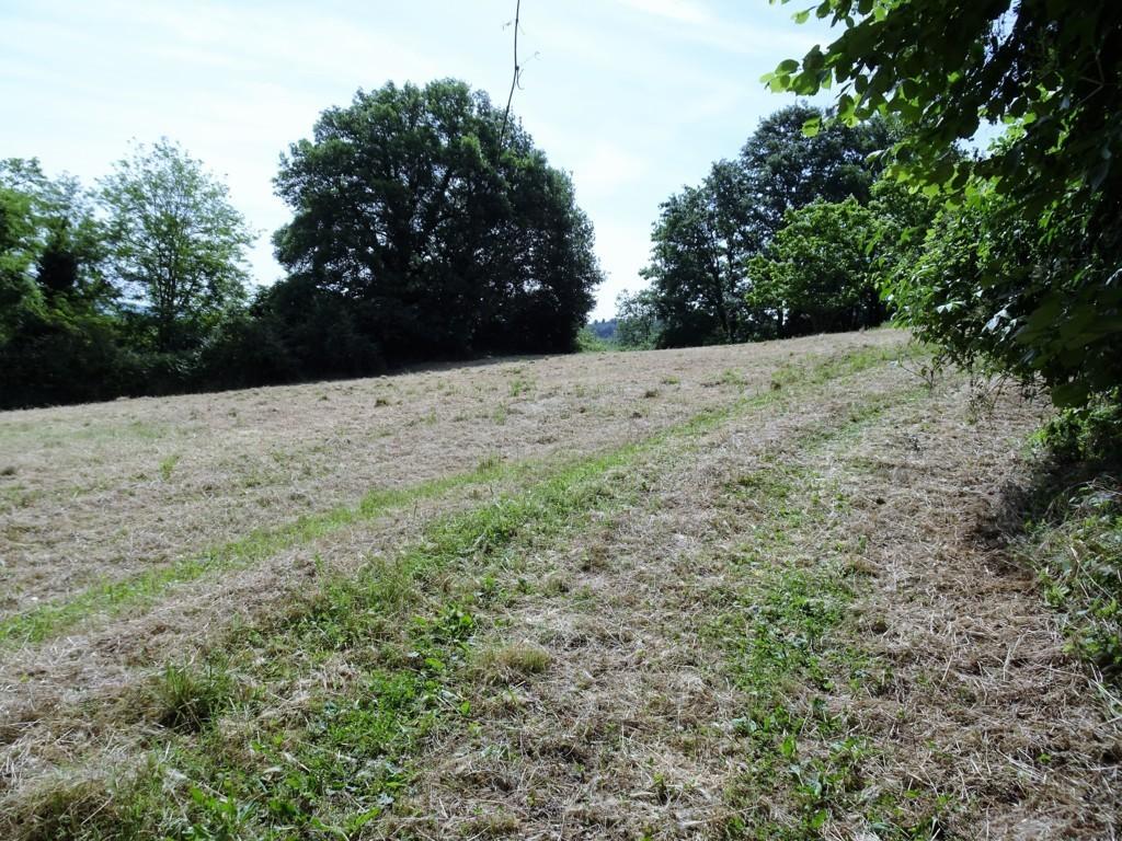 Immagine 9 di Terreno agricolo in vendita  a Poggibonsi