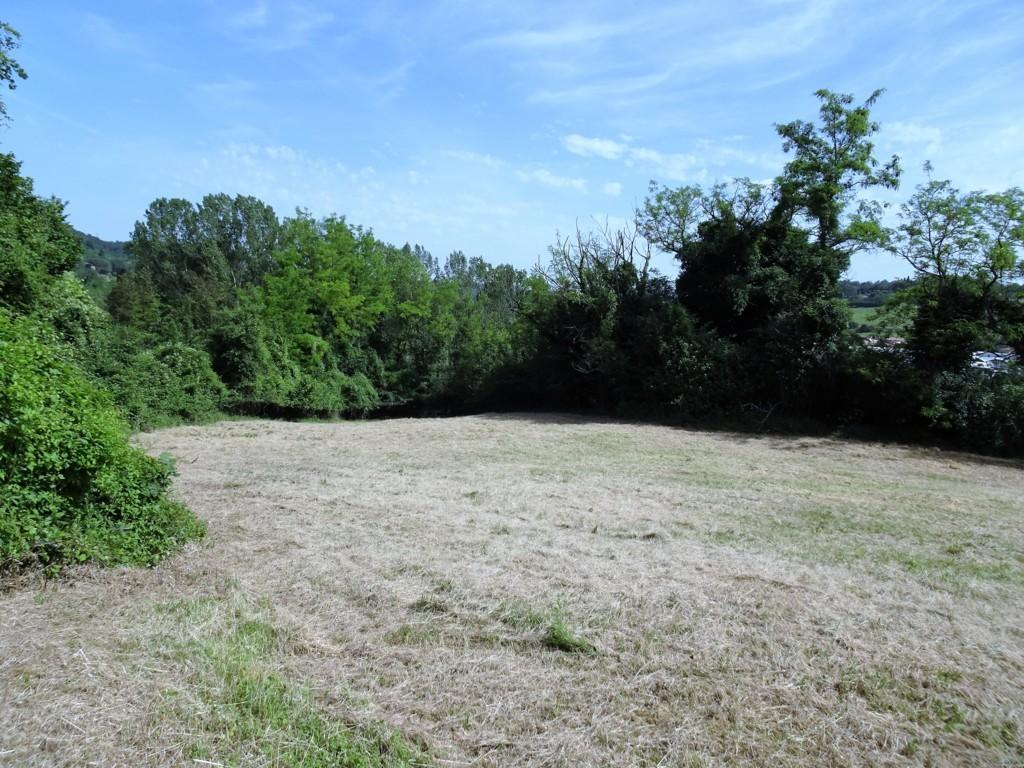 Immagine 7 di Terreno agricolo in vendita  a Poggibonsi