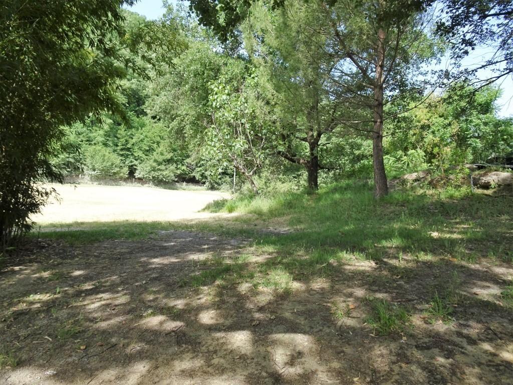 Immagine 4 di Terreno agricolo in vendita  a Poggibonsi