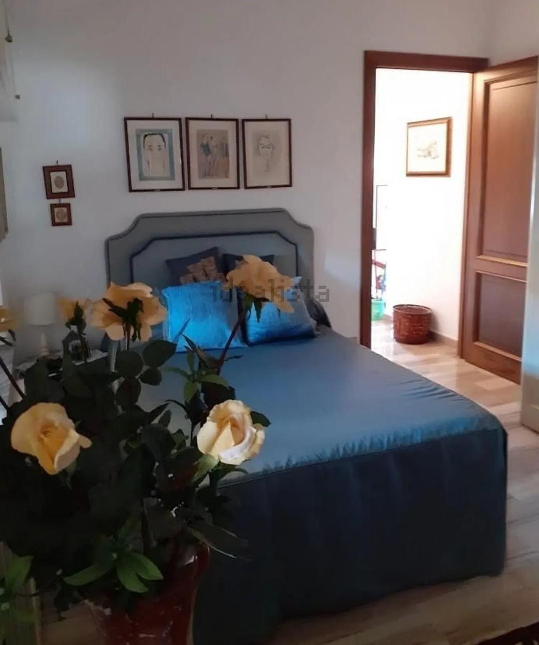 Immagine 18 di Appartamento in vendita  a Carrara