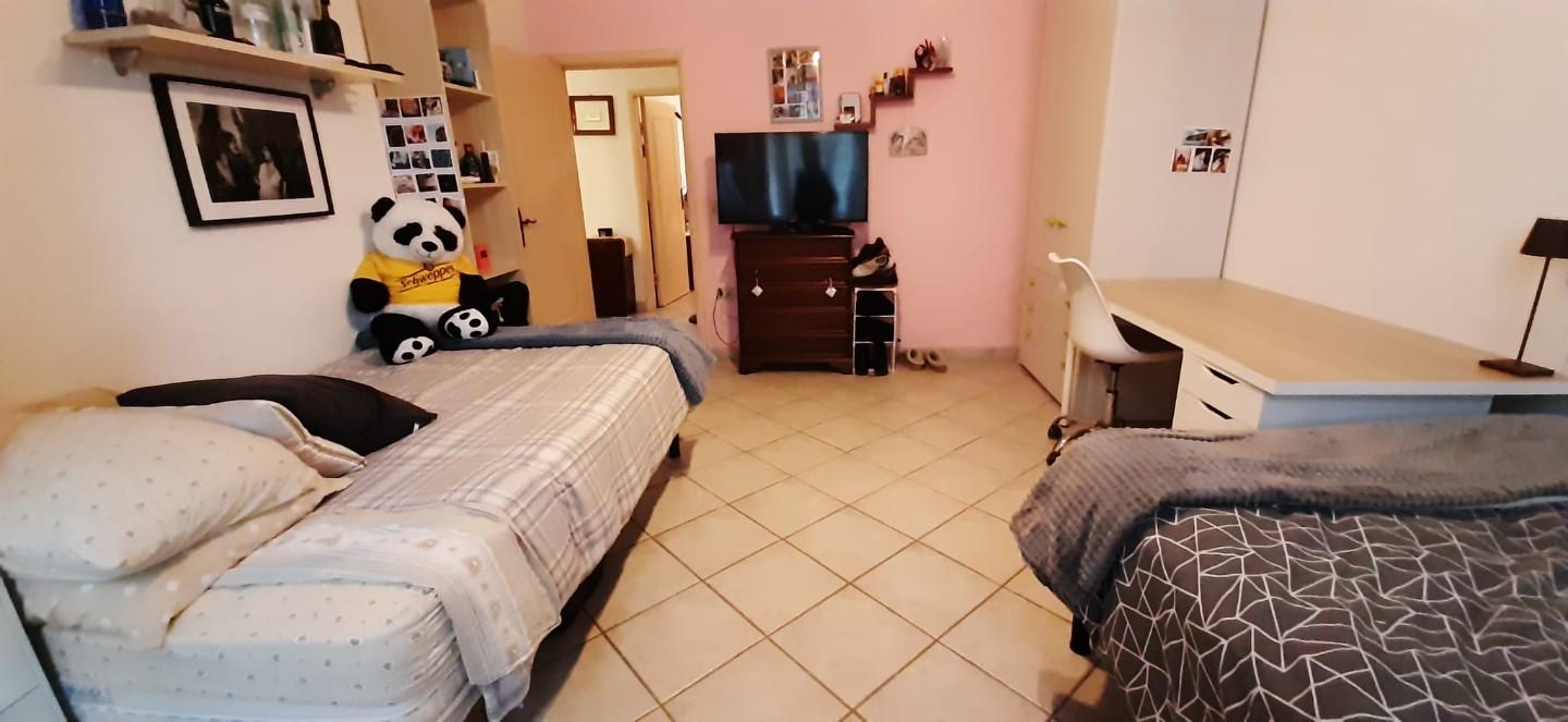 Immagine 11 di Appartamento in vendita  a Cecina