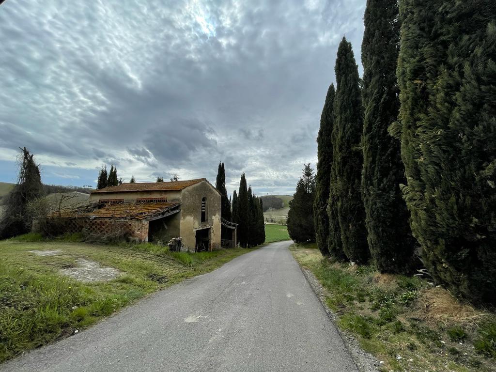 Foto annuncio 15