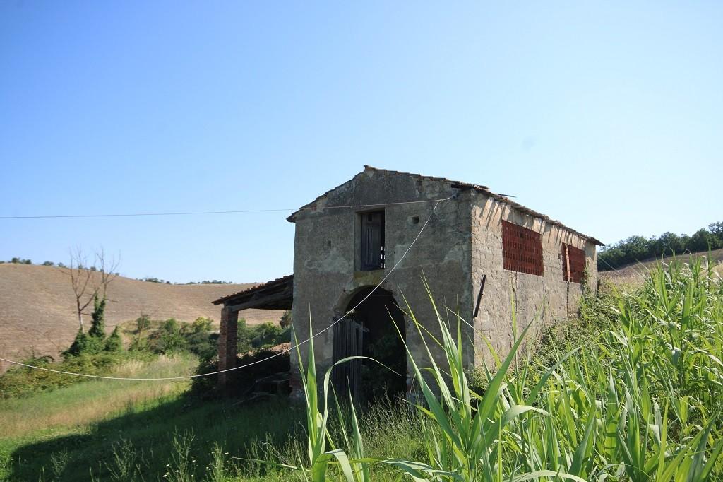 Foto annuncio 12