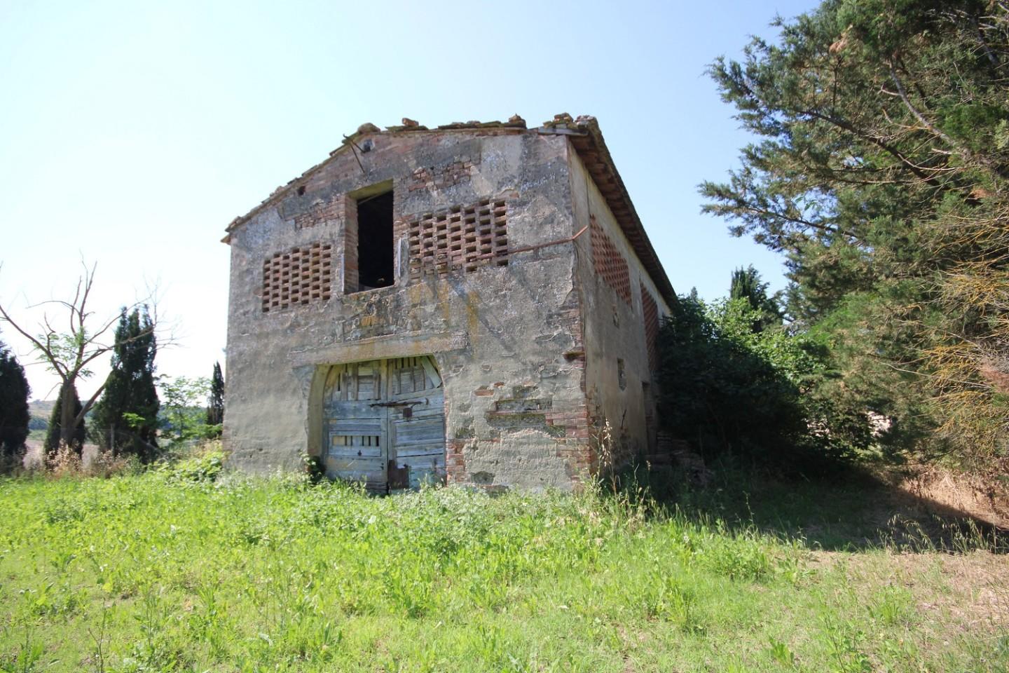Foto annuncio 9