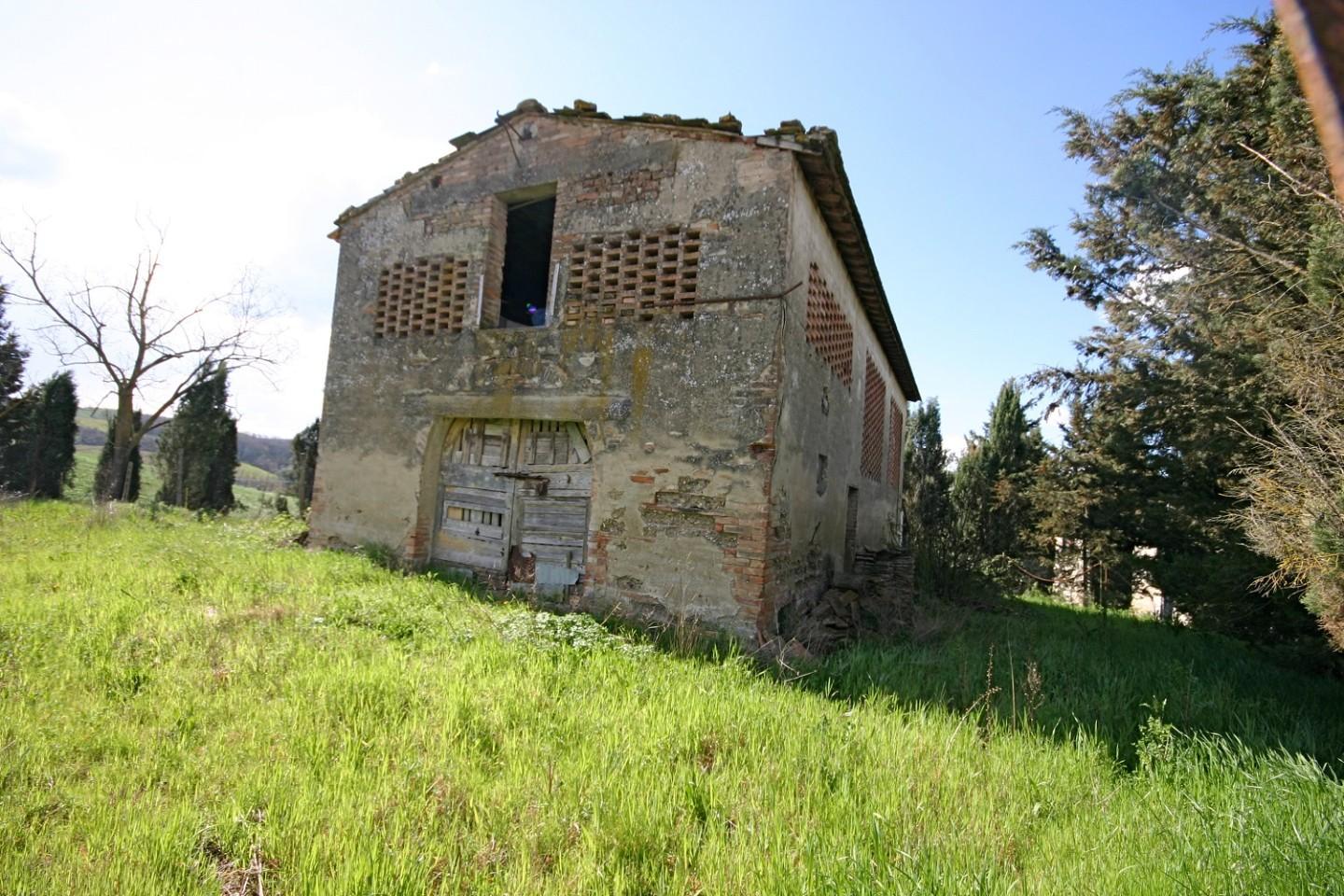 Foto annuncio 10