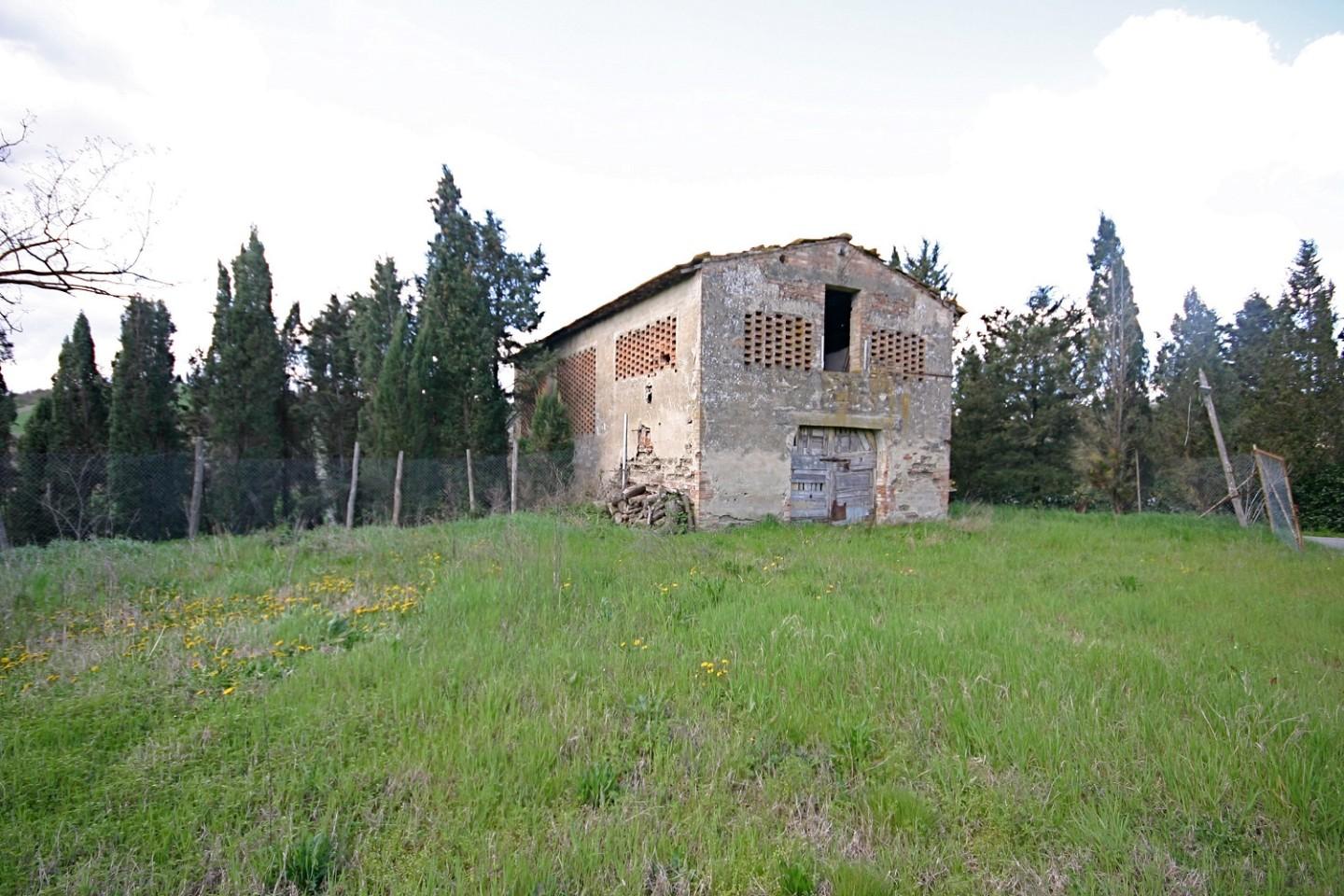 Foto annuncio 11