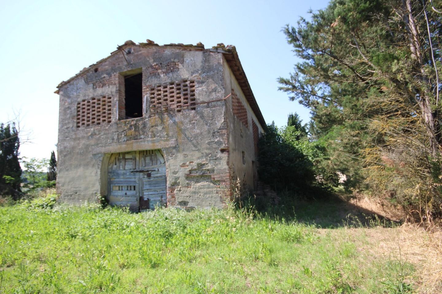 Foto annuncio 8