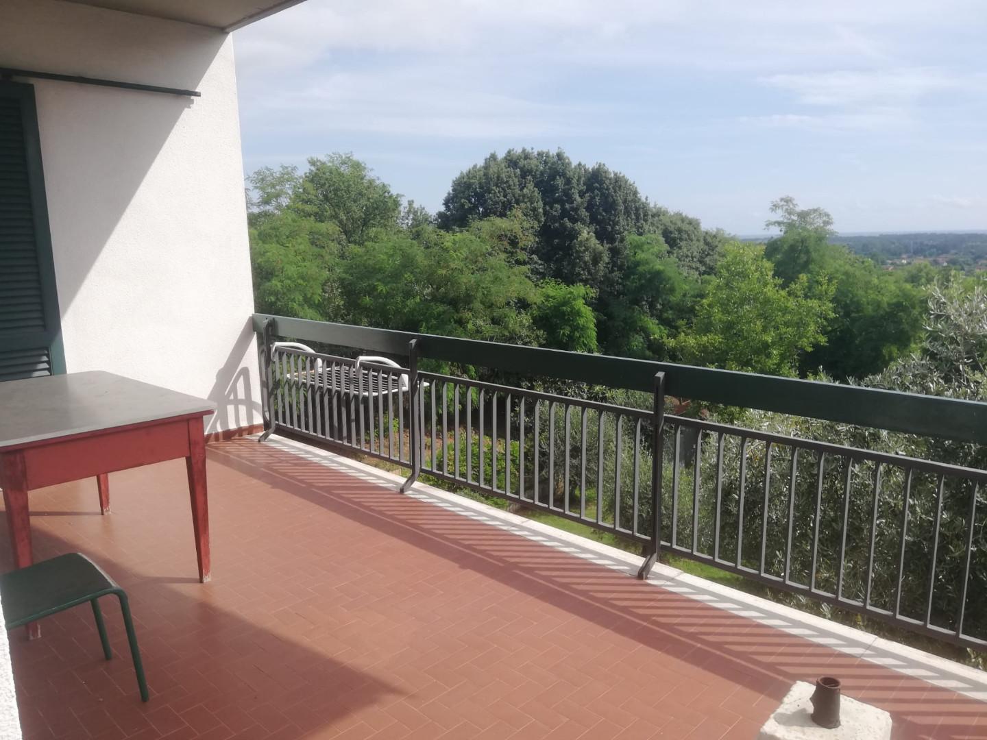 Immagine 19 di Appartamento in vendita  a Massa