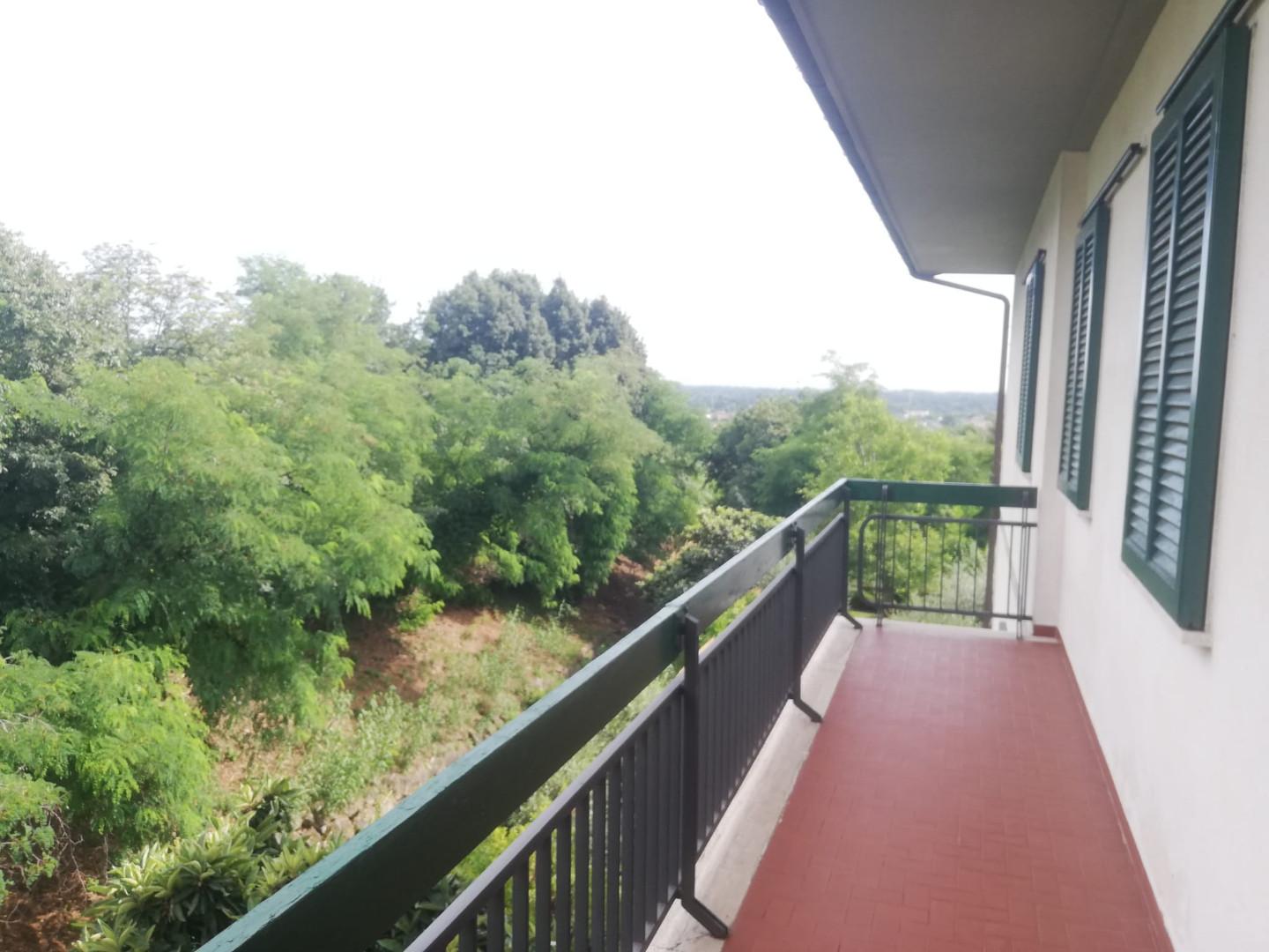 Immagine 18 di Appartamento in vendita  a Massa