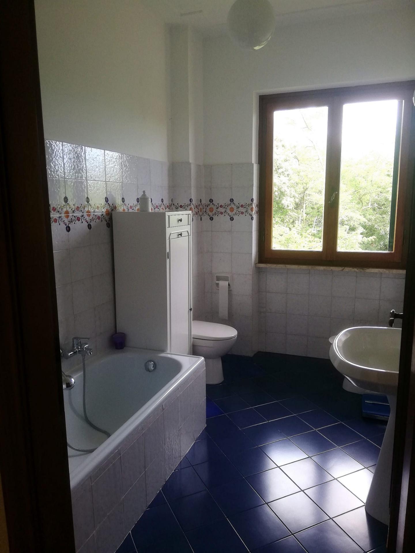 Immagine 10 di Appartamento in vendita  a Massa