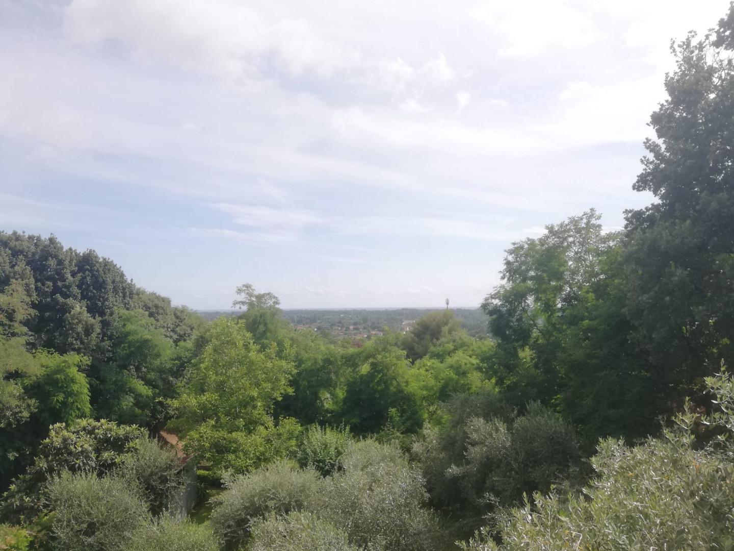 Immagine 17 di Appartamento in vendita  a Massa