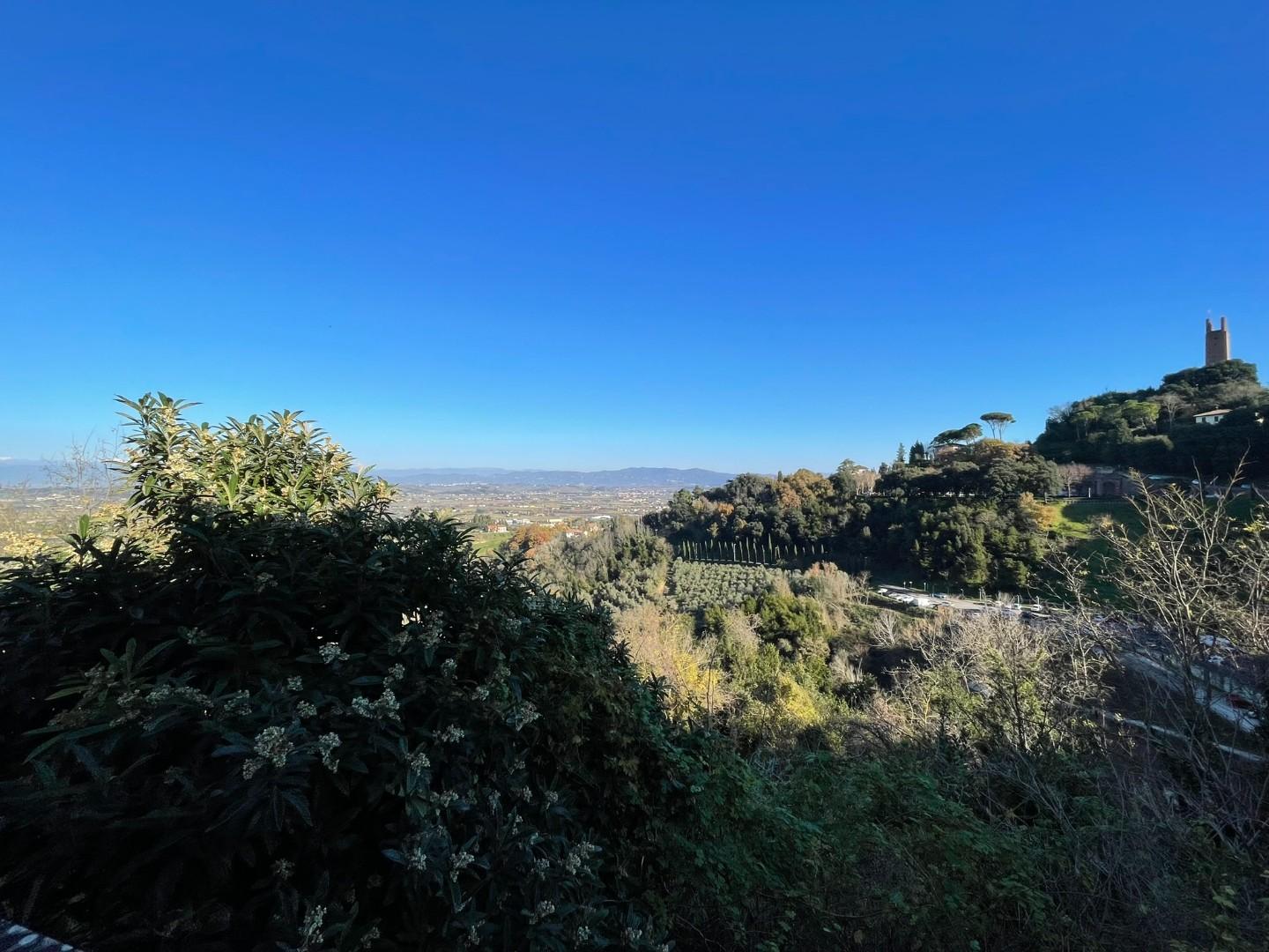 Immagine 60 di Terratetto in vendita  a San Miniato