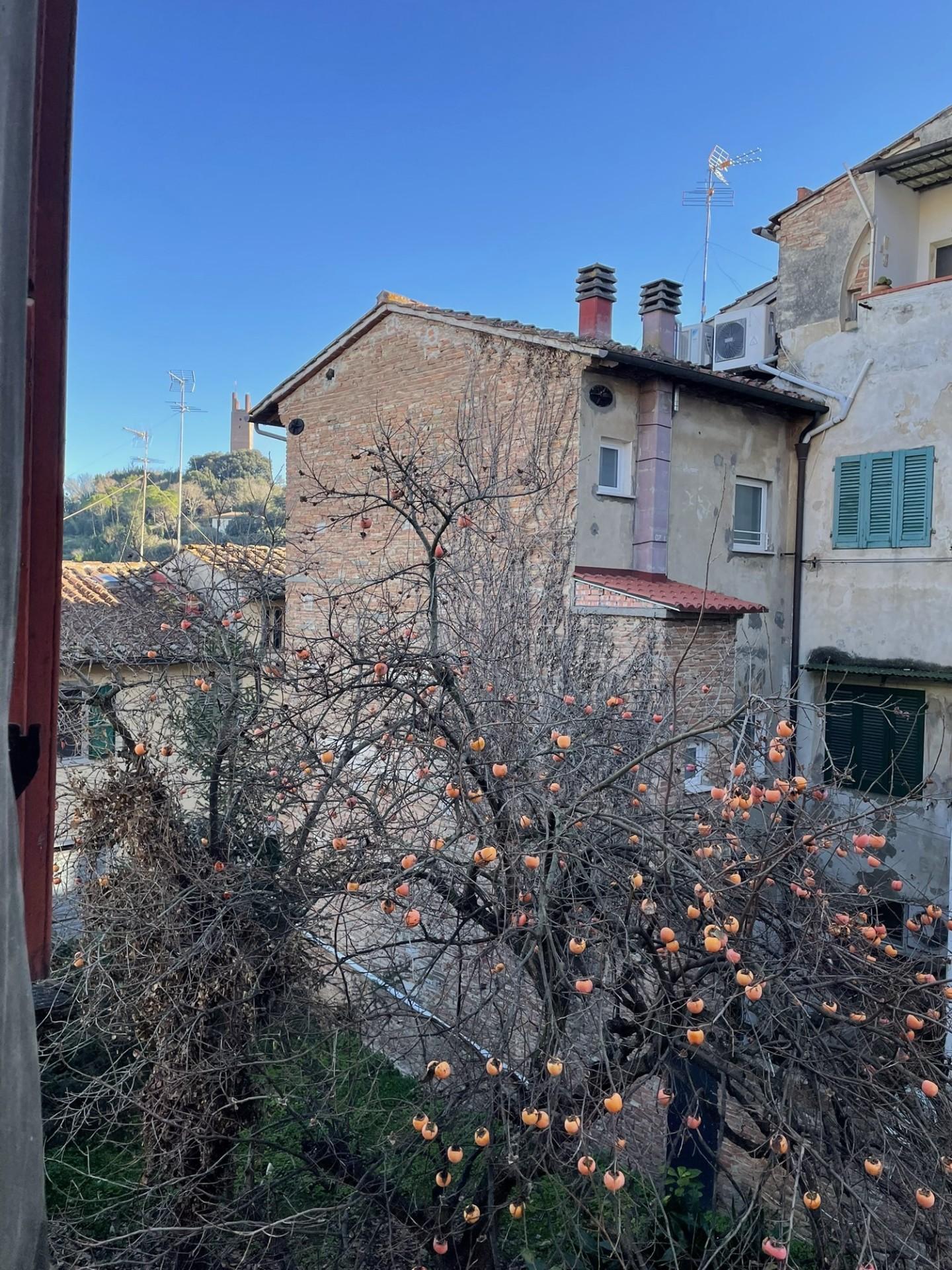 Immagine 28 di Terratetto in vendita  a San Miniato