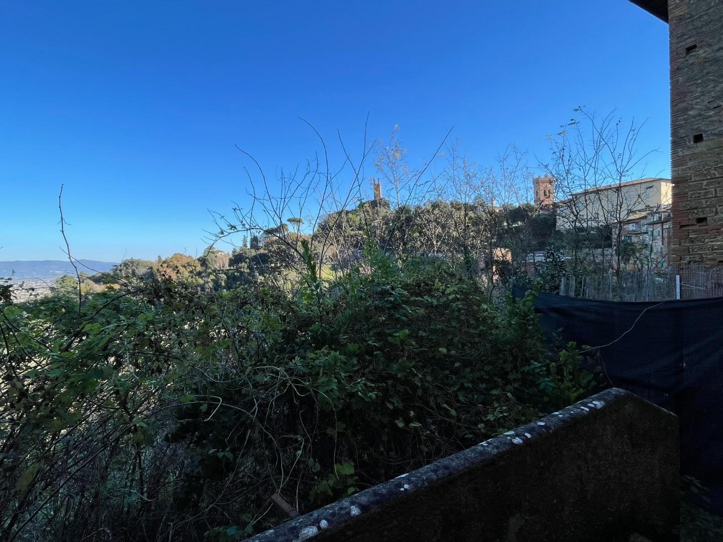 Immagine 70 di Terratetto in vendita  a San Miniato