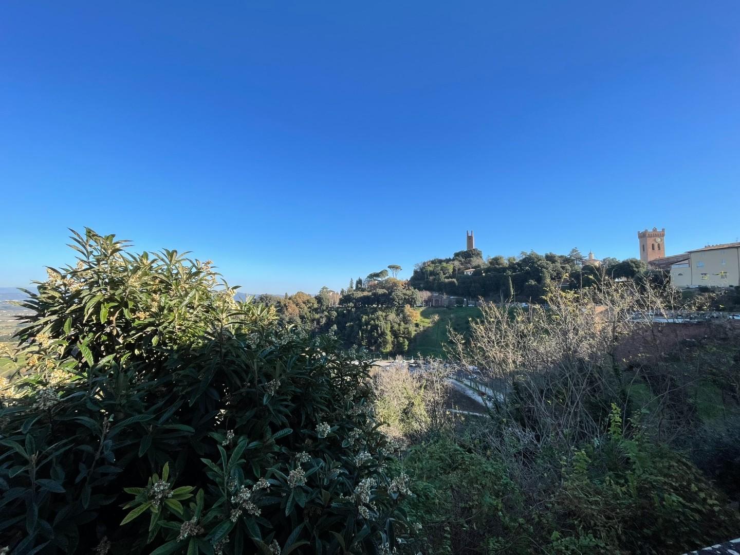 Immagine 57 di Terratetto in vendita  a San Miniato