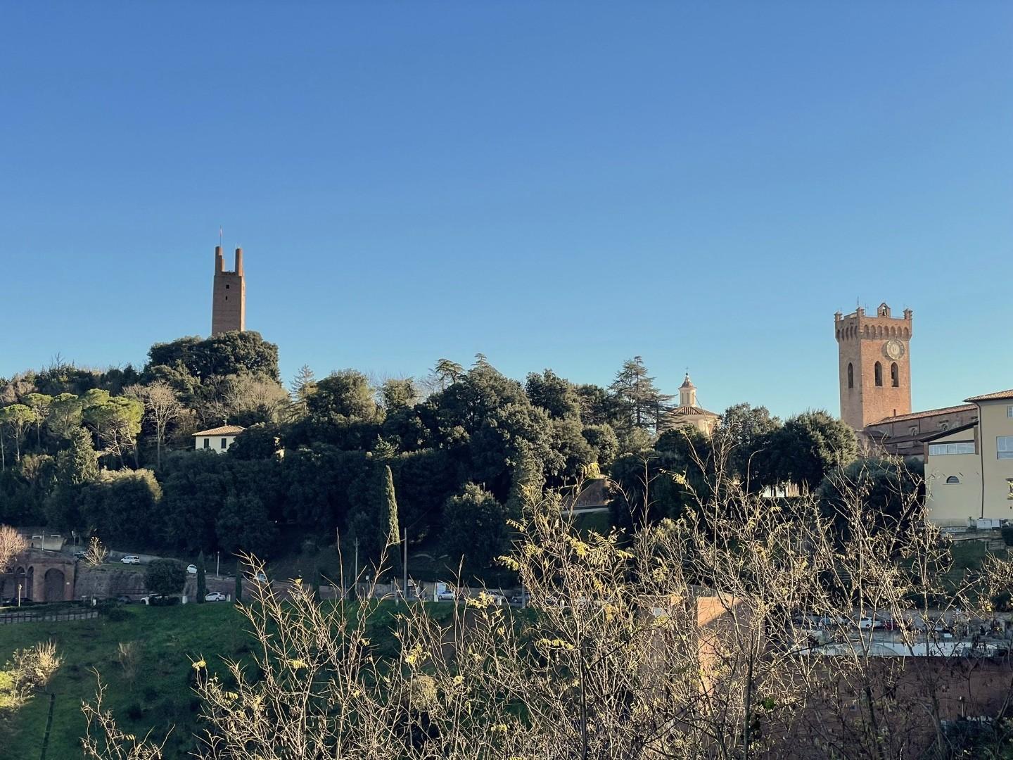 Immagine 58 di Terratetto in vendita  a San Miniato