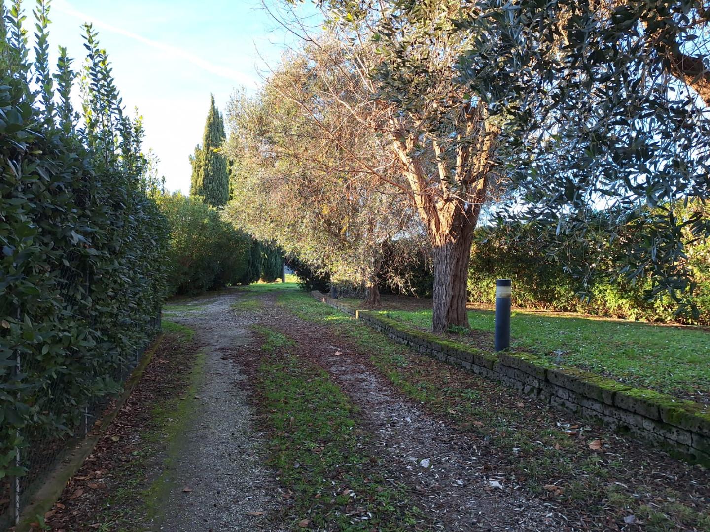 Immagine 6 di Rustico / casale in vendita  a Cascina