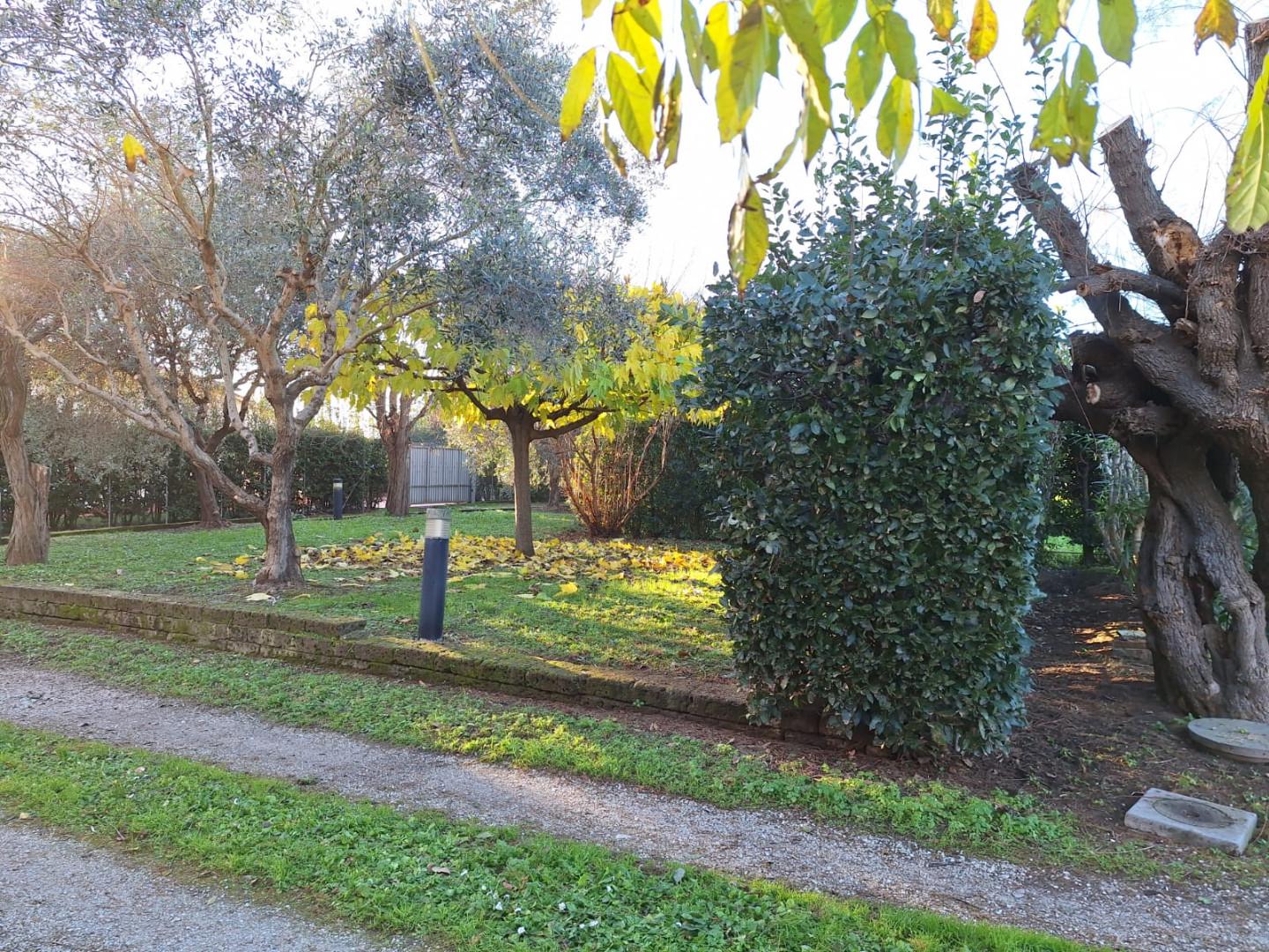 Immagine 3 di Rustico / casale in vendita  a Cascina