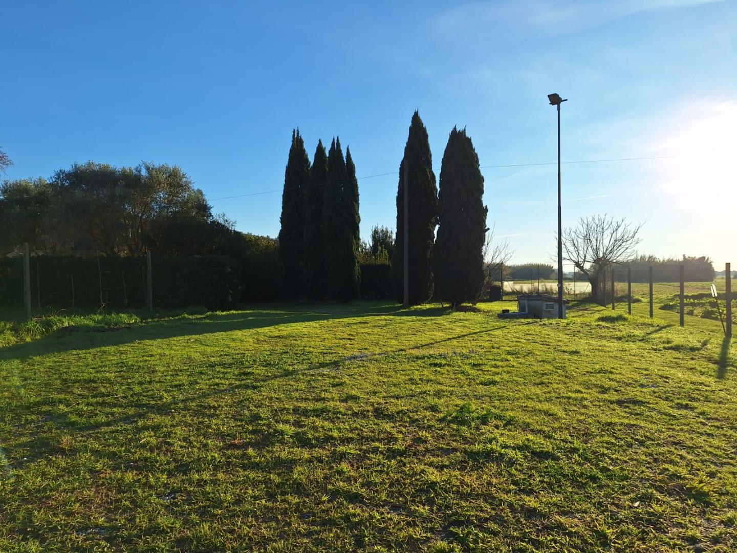 Immagine 5 di Rustico / casale in vendita  a Cascina