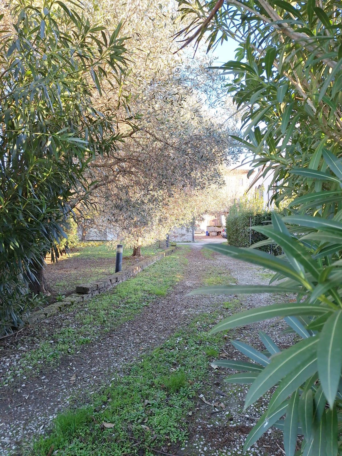 Immagine 4 di Rustico / casale in vendita  a Cascina