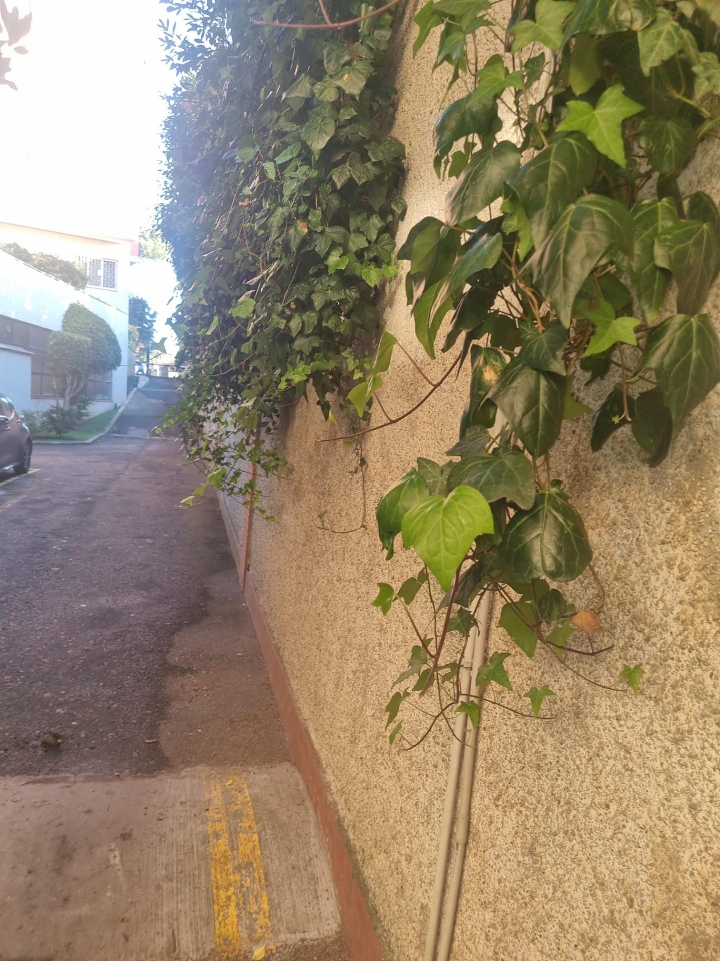 Foto annuncio 18