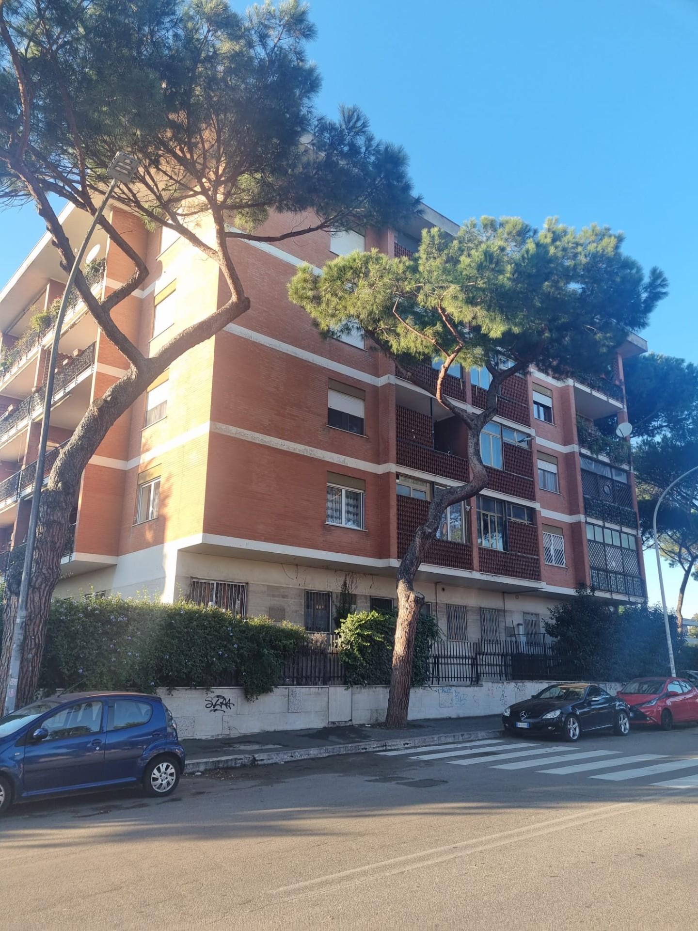 Foto annuncio 14