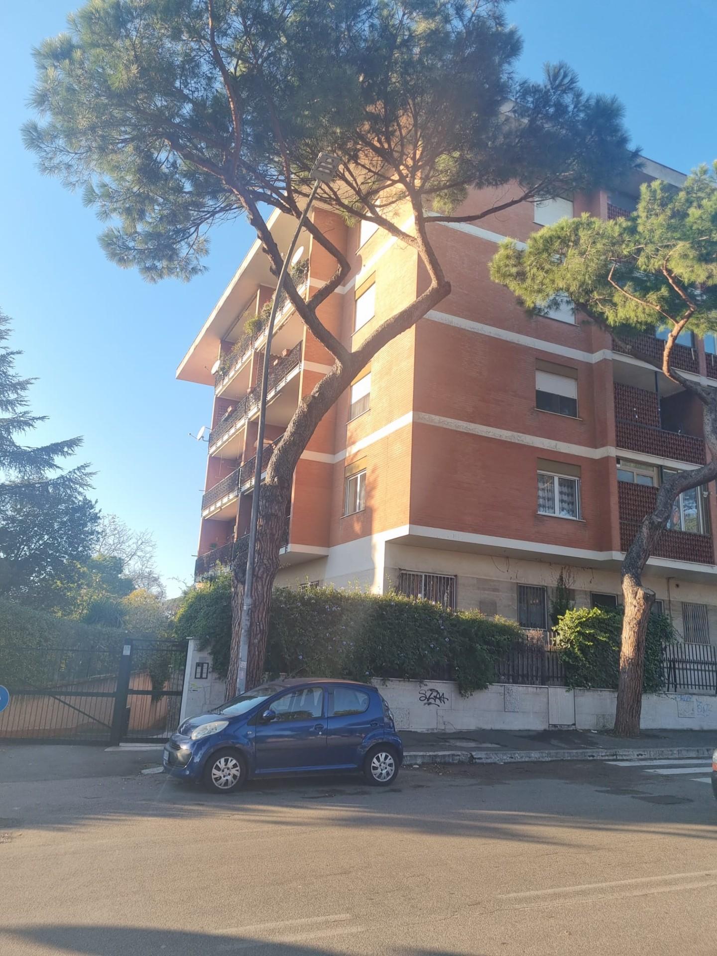 Foto annuncio 13