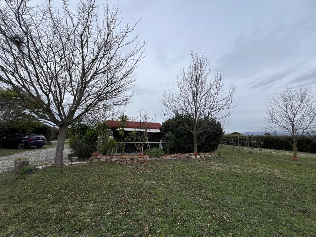 Immagine 15 di Terreno agricolo in vendita  a Bibbona