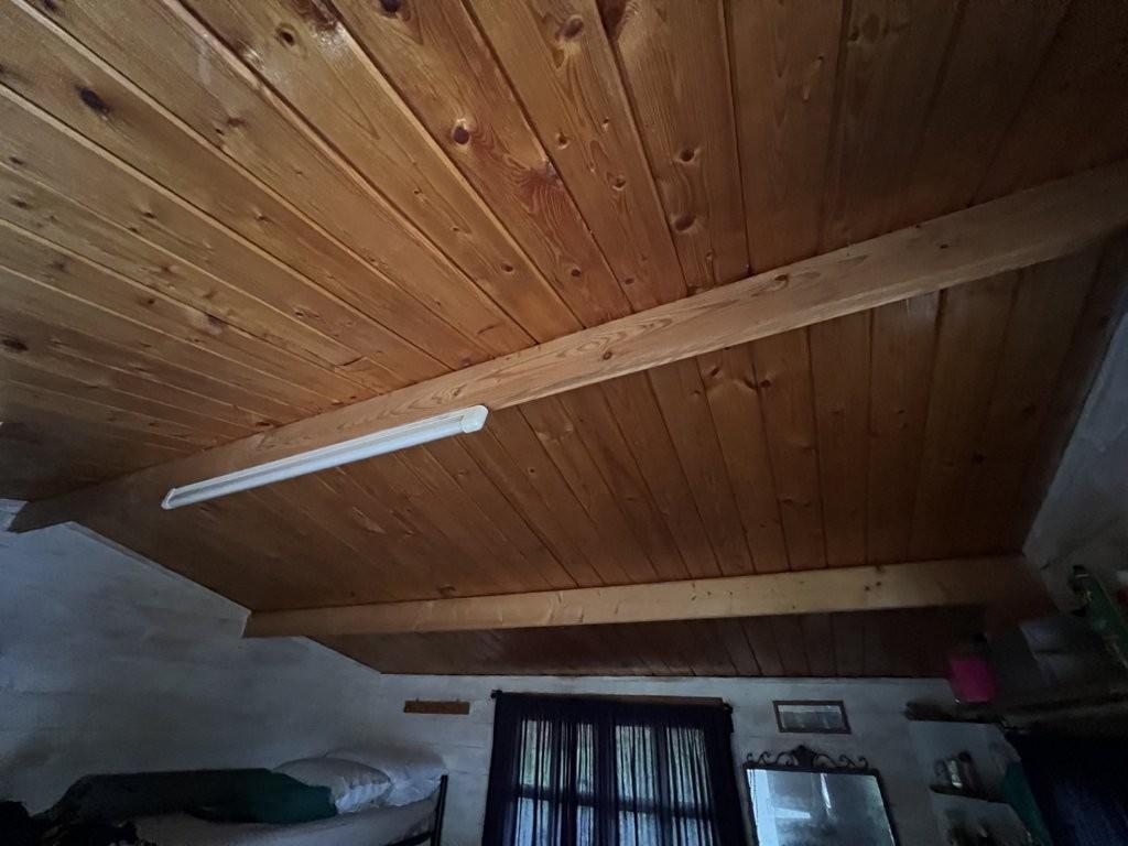 Immagine 9 di Terreno agricolo in vendita  a Bibbona