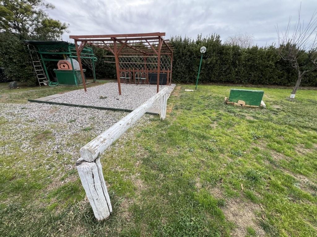 Immagine 14 di Terreno agricolo in vendita  a Bibbona