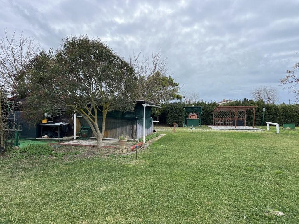 Immagine 4 di Terreno agricolo in vendita  a Bibbona