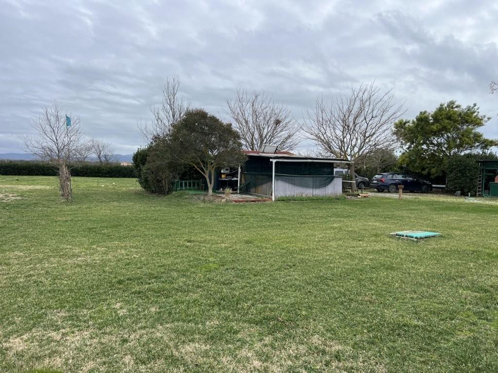 Immagine 22 di Terreno agricolo in vendita  a Bibbona